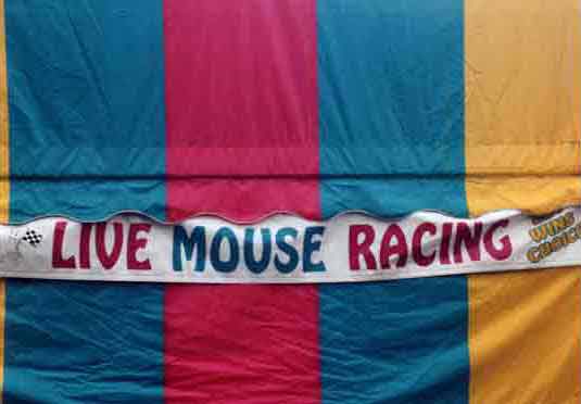 live mouse racing, birmingham, alabama