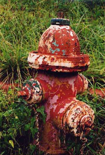 fire hydrant, lipscomb, alabama